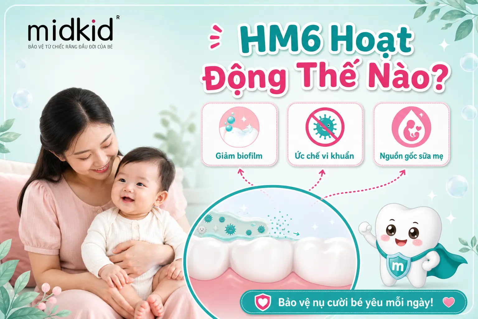 HM6 hoạt động thế nào trong khoang miệng bé