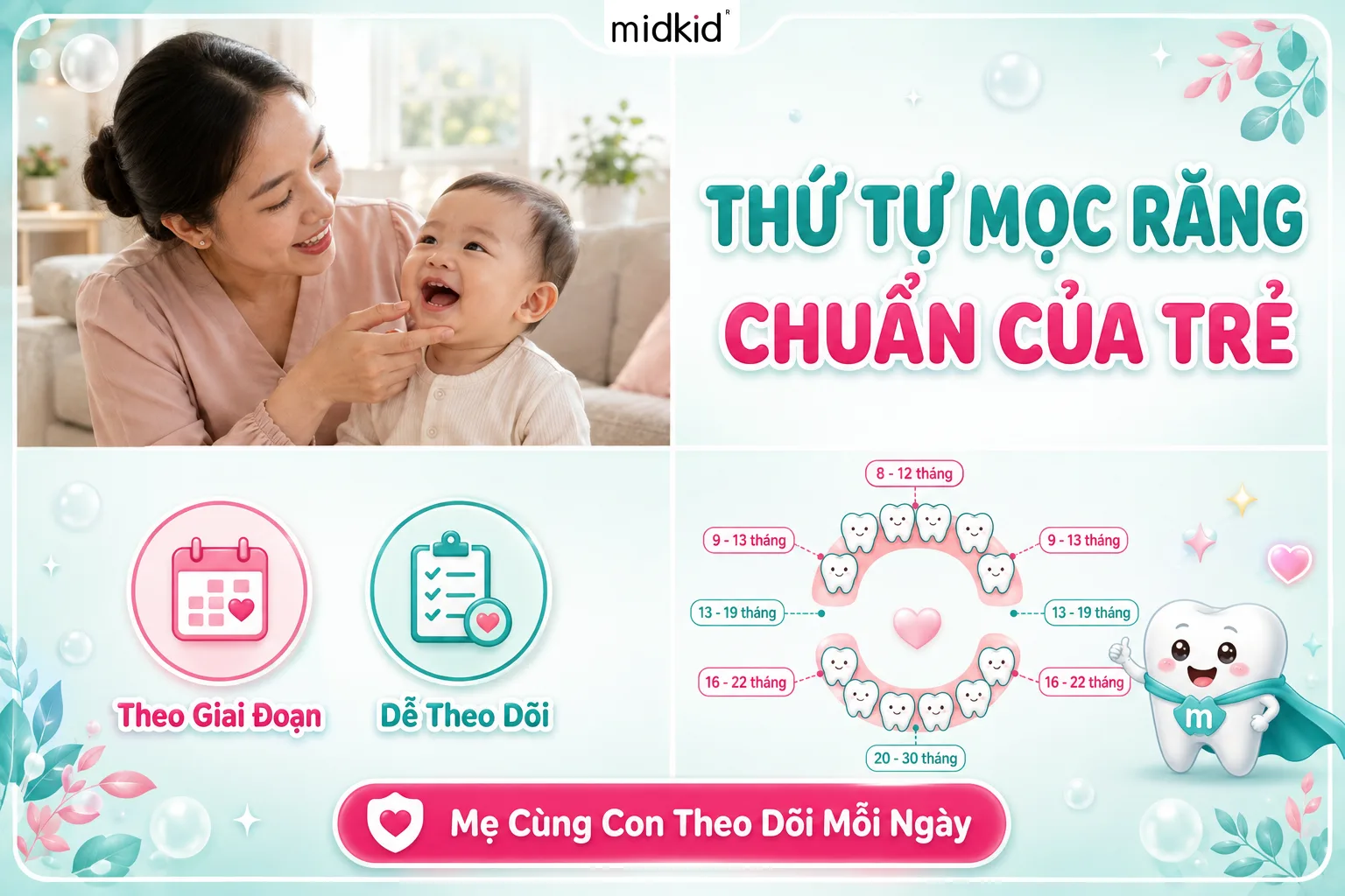 Thứ Tự Mọc Răng Của Trẻ Chuẩn Theo Từng Giai Đoạn